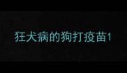 狂犬病的狗打疫苗