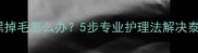 泰迪皮肤发黑掉毛怎么办5步专业护理法解决泰迪皮肤问题