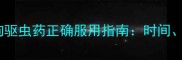 新手必看小狗驱虫药正确服用指南时间剂量注意事项全