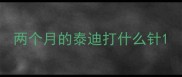 两个月的泰迪打什么针