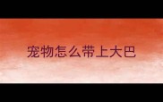 宠物怎么带上大巴