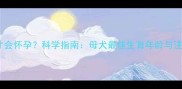 狗狗多大才会怀孕科学指南母犬最佳生育年龄与注意事项全