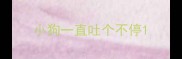 小狗一直吐个不停