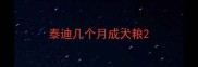 泰迪几个月成犬粮