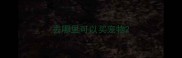 去哪里可以买宠物
