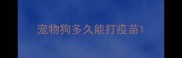 宠物狗多久能打疫苗