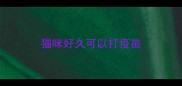 猫咪好久可以打疫苗