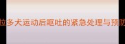 拉布拉多犬运动后呕吐的紧急处理与预防指南