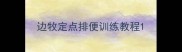 边牧定点排便训练教程