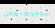 成年哈士奇价格多少