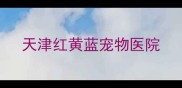 天津红黄蓝宠物医院