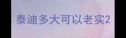 泰迪多大可以老实