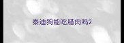 泰迪狗能吃腊肉吗