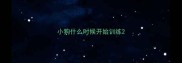 小狗什么时候开始训练