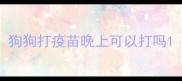 狗狗打疫苗晚上可以打吗