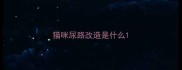 猫咪尿路改造是什么