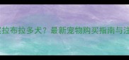 郑州哪里买拉布拉多犬最新宠物购买指南与注意事项全