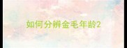 如何分辨金毛年龄