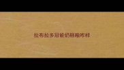 拉布拉多冠能奶糕粮咋样