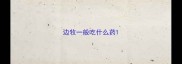 边牧一般吃什么药