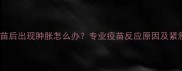 狗狗接种疫苗后出现肿胀怎么办专业疫苗反应原因及紧急处理指南