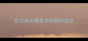 在济南从哪里买到狗的疫苗