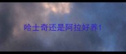 哈士奇还是阿拉好养