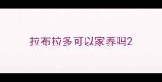 拉布拉多可以家养吗