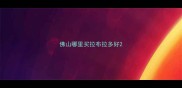 佛山哪里买拉布拉多好