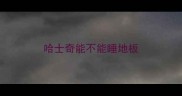 哈士奇能不能睡地板