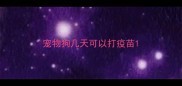 宠物狗几天可以打疫苗