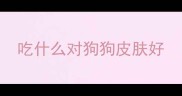 吃什么对狗狗皮肤好