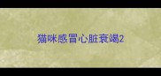 猫咪感冒心脏衰竭