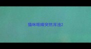 猫咪眼睛突然浑浊