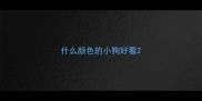 什么颜色的小狗好看