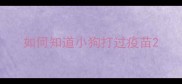 如何知道小狗打过疫苗
