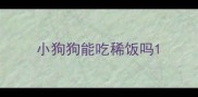 小狗狗能吃稀饭吗