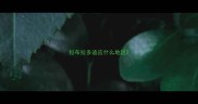 拉布拉多适应什么地区