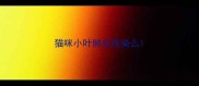 猫咪小叶肺炎传染么
