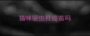 猫咪驱虫打疫苗吗