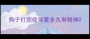 狗子打完疫苗要多久有精神