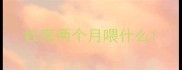 杜宾两个月喂什么