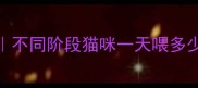 幼猫成猫科学喂养指南不同阶段猫咪一天喂多少粒猫粮附喂食细节全
