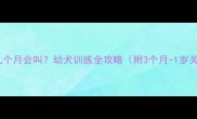 德国牧羊犬几个月会叫幼犬训练全攻略附3个月-1岁关键期指南