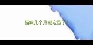 猫咪几个月就定型了