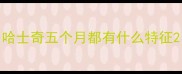哈士奇五个月都有什么特征