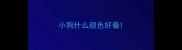 小狗什么颜色好看