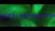 哈士奇保姆级特征图鉴最新养狗指南附选购护理全攻略
