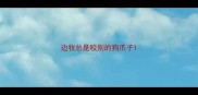 边牧总是咬别的狗爪子