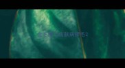 金毛腿上皮肤病掉毛